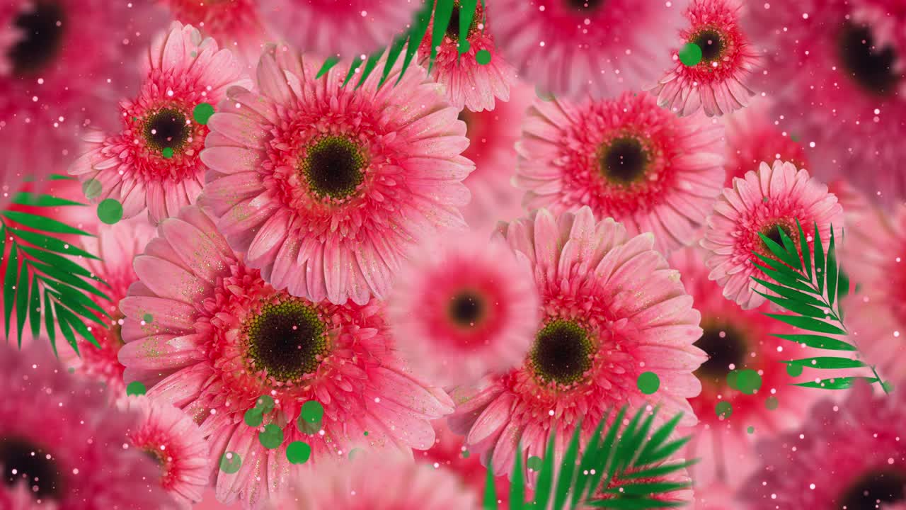 분홍색 꽃 배경 루프