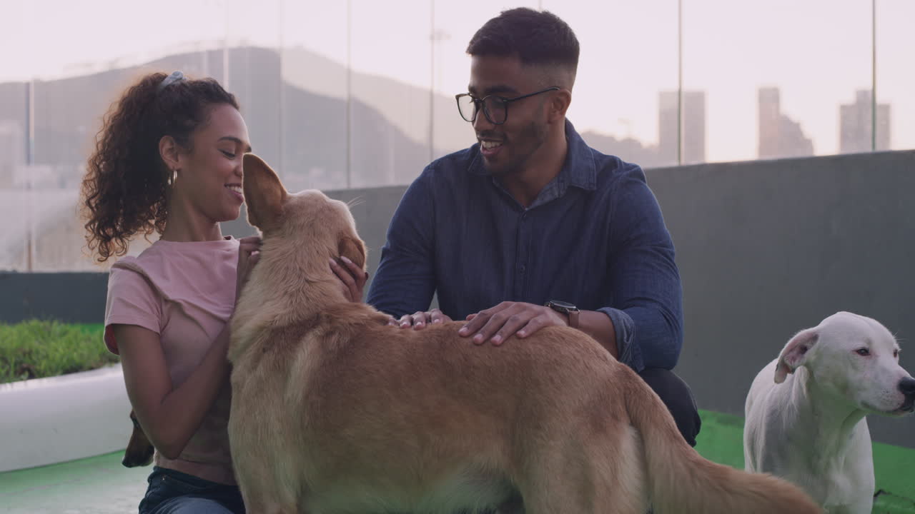 ¿este es el que quieres?