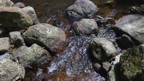 water flowing over rocks in a creek