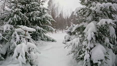 Zona-Rural-En-El-Invierno