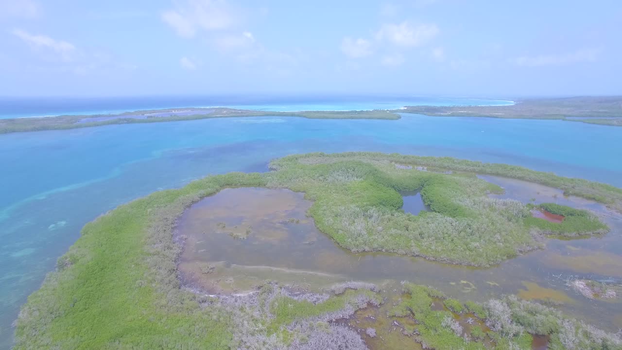 toma aérea de una costa de manglares en el mar caribe azul venezolano