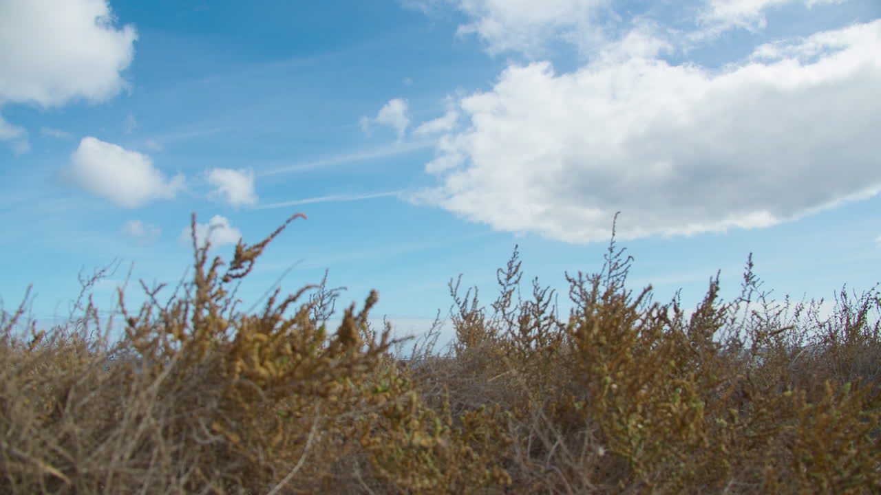 비행기가 추락하고 있어요.