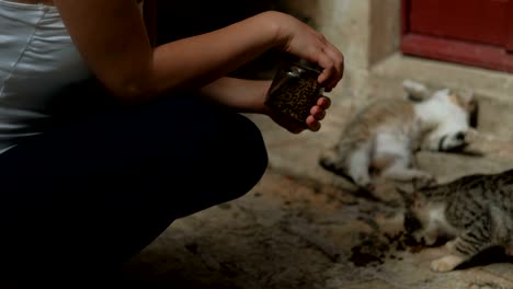 woman squatting near entrance feeding cats outdoors
