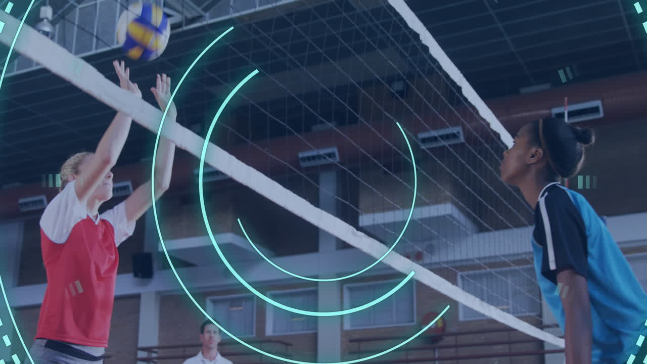 체육관에서 배구 경기를 하는 다양한 여성들을 스캐닝하는 애니메이션