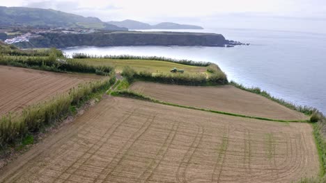 tractor reversing in field on sea cliff edge in azores, zooming aerial