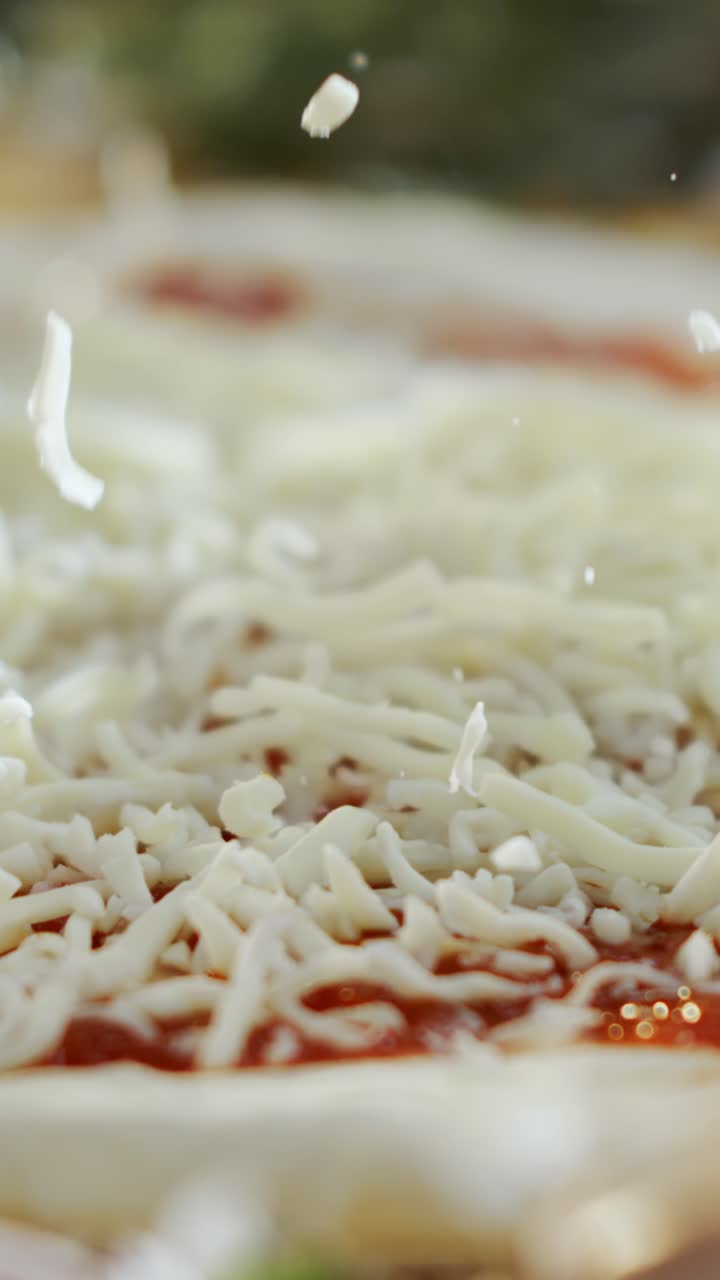 Pizza Preparation with Cheese Toppings
