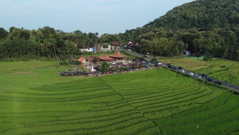 大米露台的空中景色