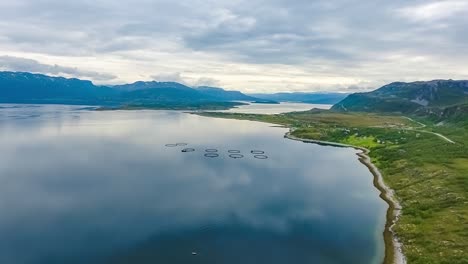 aerial footage farm salmon fishing in norway