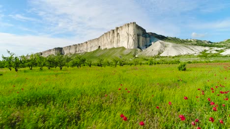 white cliff mountain and poppy field