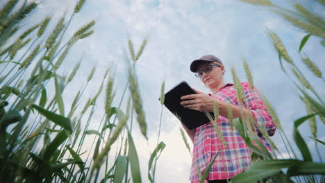 The-Farmer-Works-In-A-Field-Of-Wheat-Uses-A-Tablet-Lower-View-Of-The-Shoot