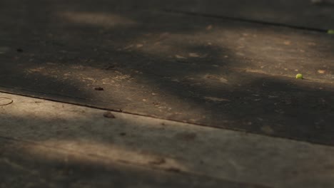 sunlight shadow over wooden plank outdoor. close-up shot