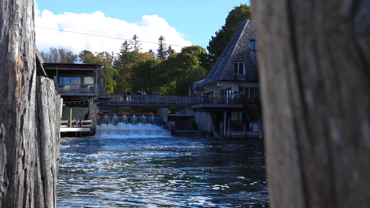 릴랜드 미시간 젠장과 강