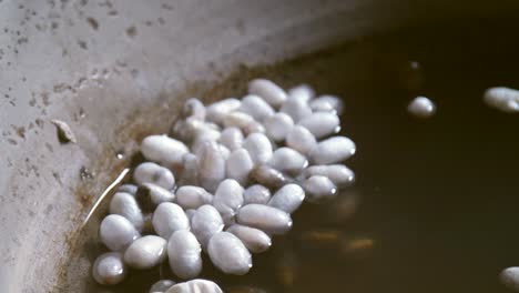 Boiling-Silkworm-Cocoons-CU