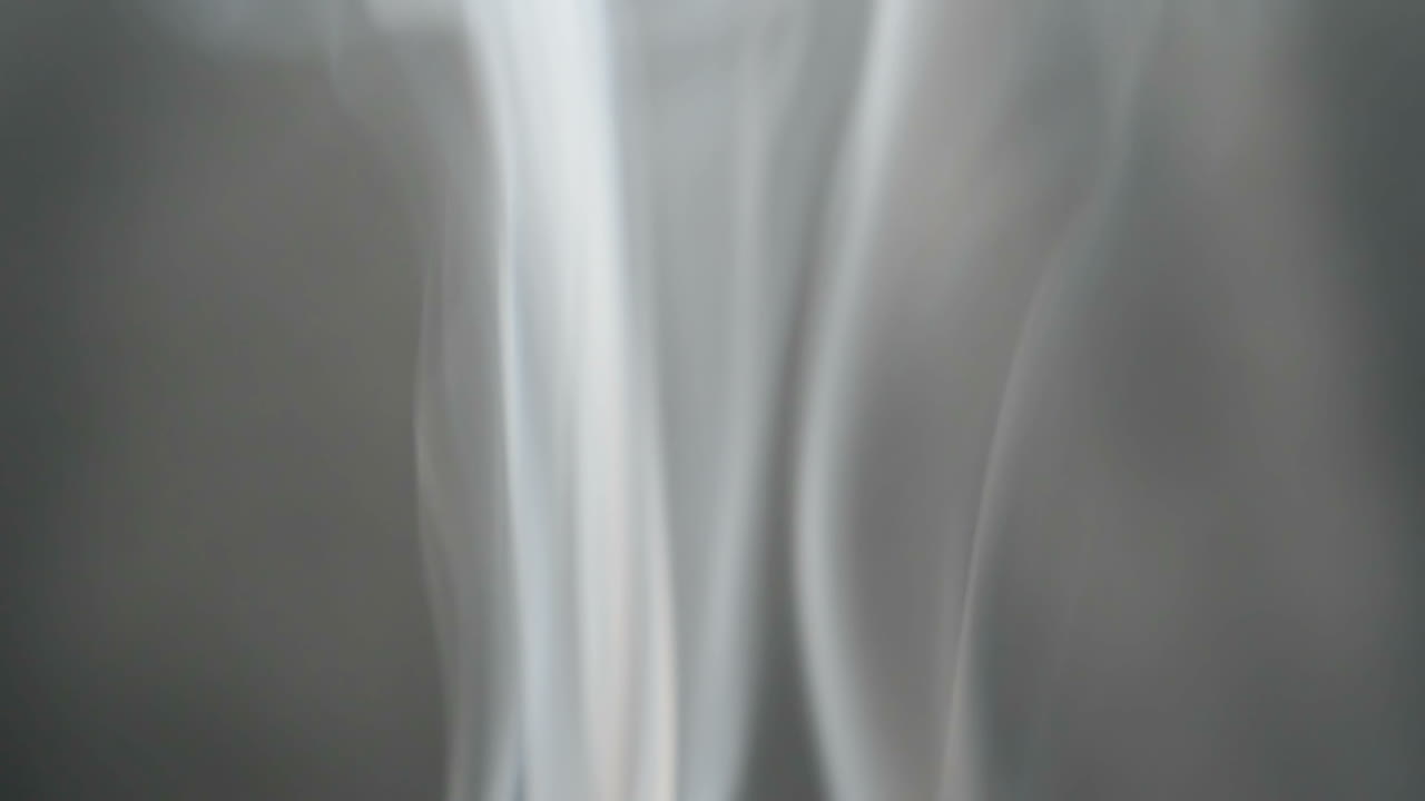 Zeitlupe. Kunstrauch. Feuerrauch