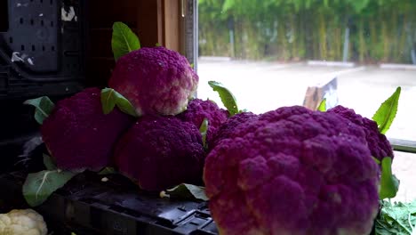 La-Coliflor-Morada-Se-Sienta-Junto-A-Una-Ventana