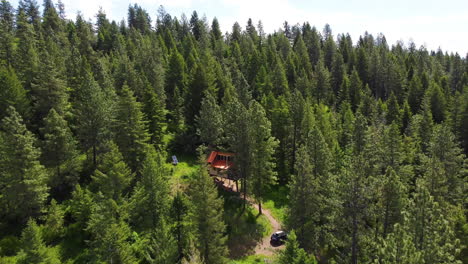 drone volando sobre una casa del árbol en el bosque