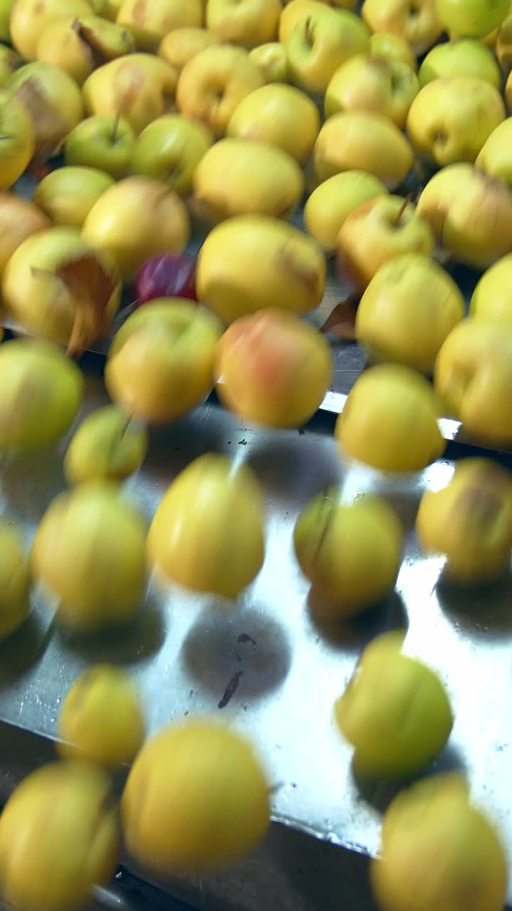 Fresh farming healthy food factory. Apple juice factory making. Vertical video