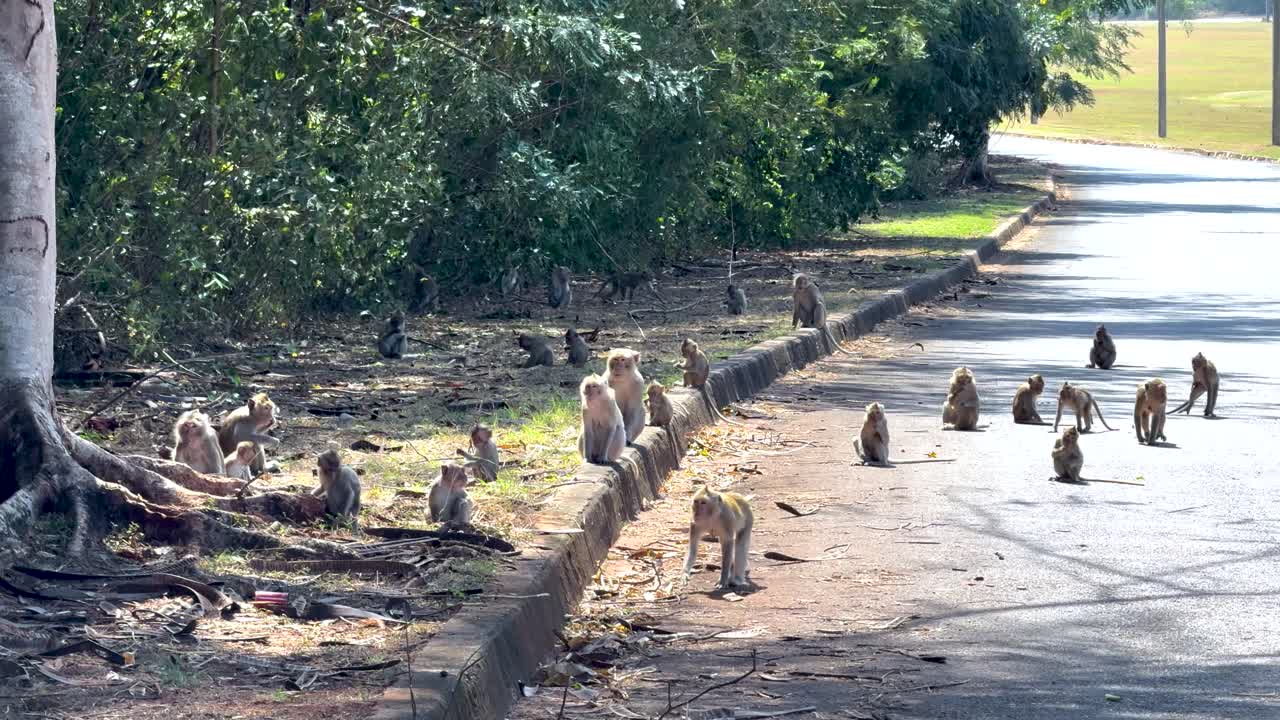 원이들은 상호 작용하고 길을 따라 움직입니다.