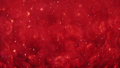 animación de nieve cayendo sobre luces rojas brillantes