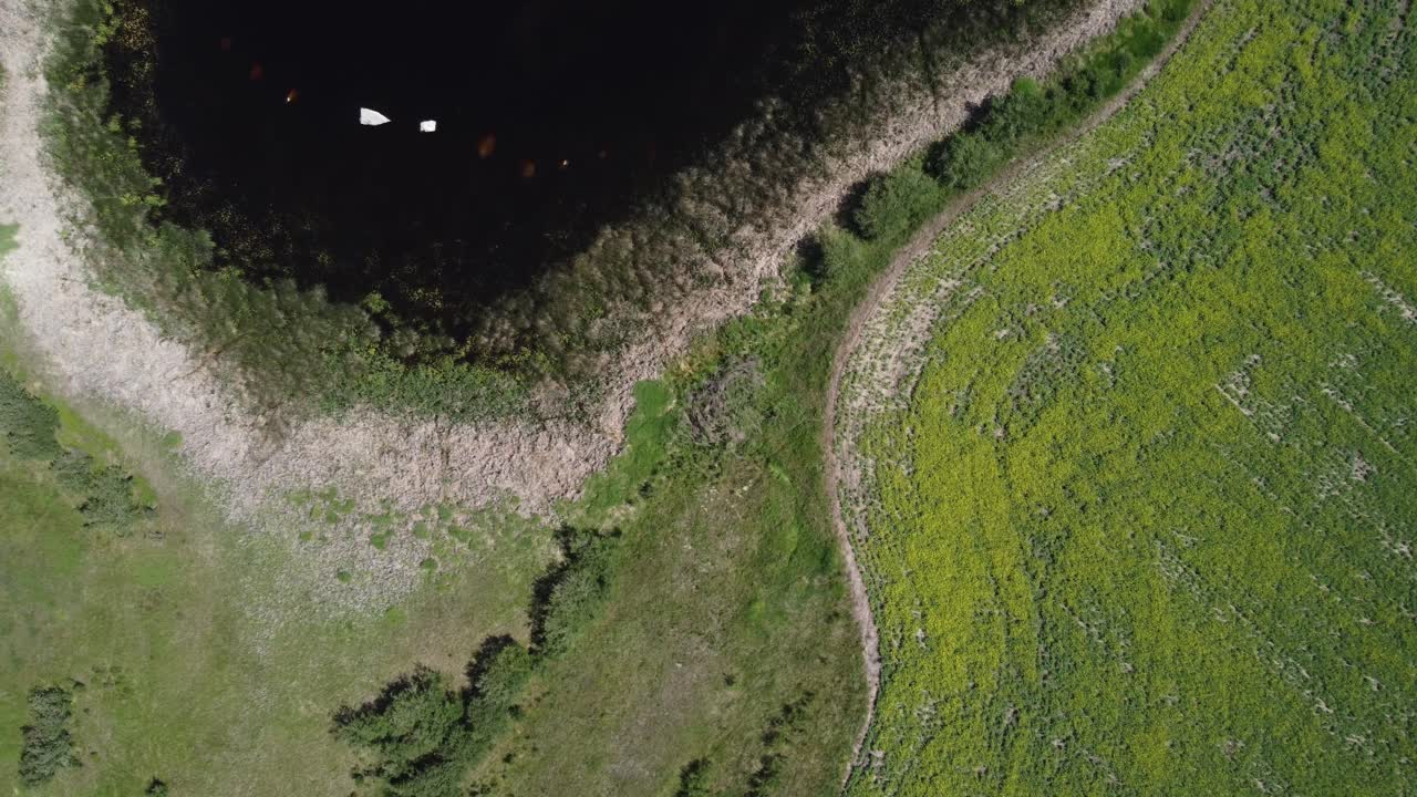 vista directa hacia abajo del pequeño estanque en medio del campo