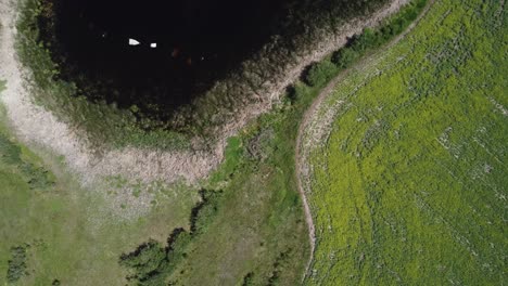 Vista-Directa-Hacia-Abajo-Del-Pequeño-Estanque-En-Medio-Del-Campo