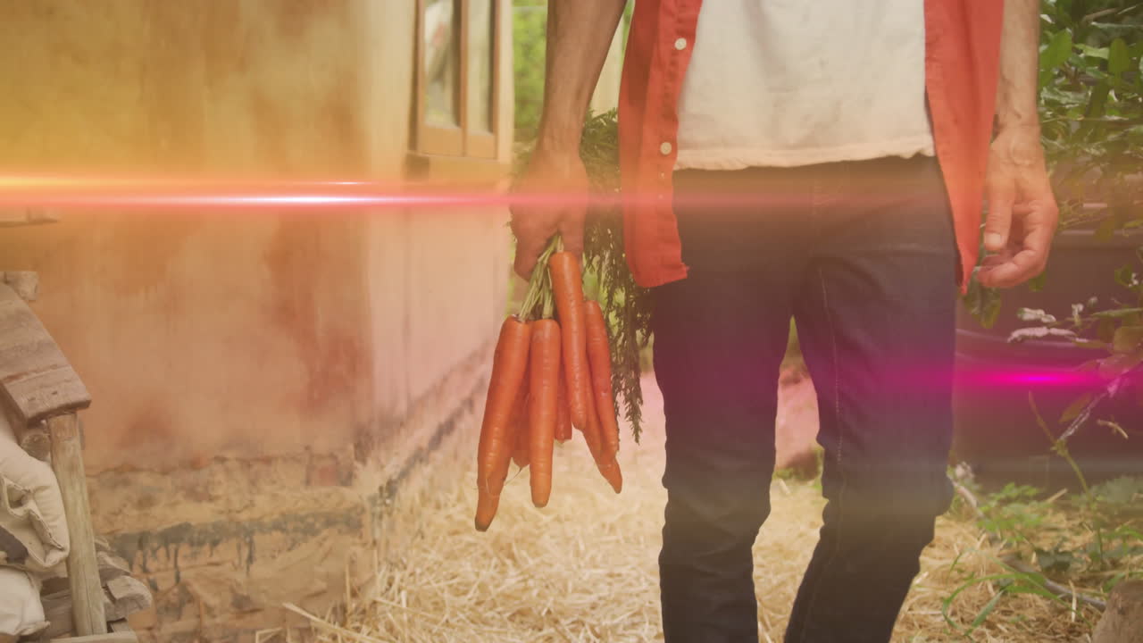 mature man holding carrots outdoors, with animated nutrition chart overlays for health marketing