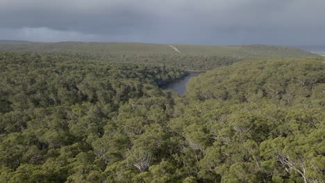 blue lake national park forest with green trees at daytime - protected area in north stradbroke island, qld, australia