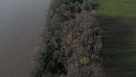 Autumnal-Riverside-Vineyards,-Bayon-sur-Gironde,-France