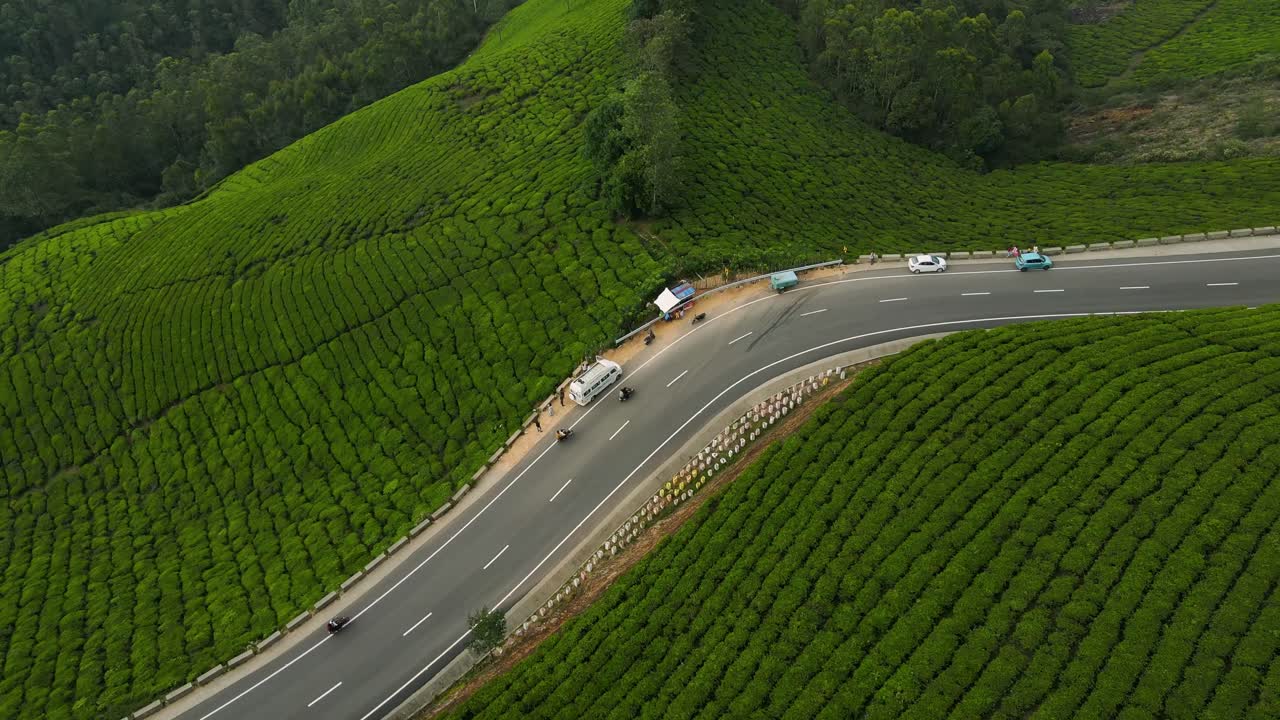 Ripresa aerea con drone dei maestosi giardini del tè di Munnar sullo sfondo di montagne avvolte nella nebbia