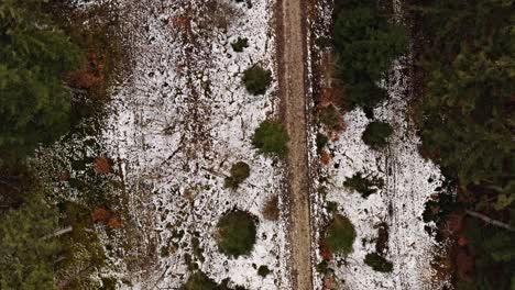 Top-down-shot-over-a-rural-path-leading-throught-a-light-snowy-forest-with-a-look-up-shot-to-an-idyllic-placed-little-house-in-the-middle-of-a-conifer-forest