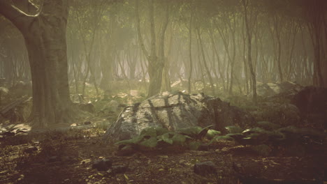 enchanted forest bathed in golden light during early morning hours
