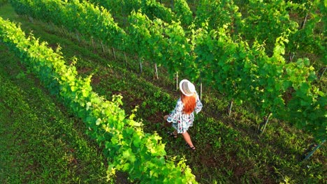 Stunning-drone-footage-of-a-white-Caucasian-woman-with-a-knitted-hat-in-a-dress-walking-through-vineyards-of-Jeruzalem-and-admiring-the-surroundings
