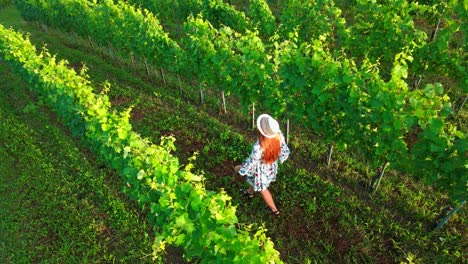 stunning drone footage of a white caucasian woman with a knitted hat in a dress walking through vineyards of jeruzalem and admiring the surroundings