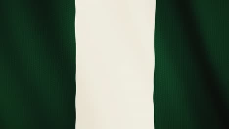 nigeria flag waving animation. full screen. symbol of the country