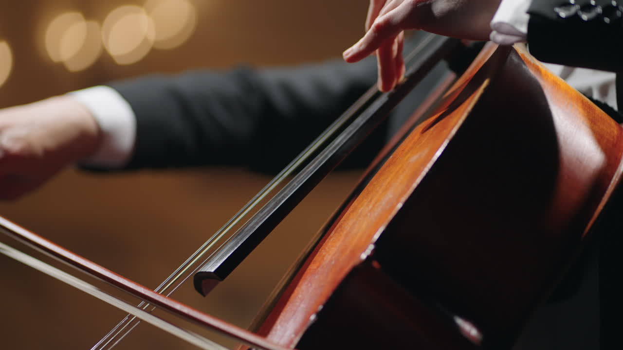 로의 근접적인 모습 전문 리스트가 심포니 오케스트라에서 로 현악기를 연주하고 있습니다.