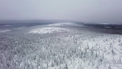 aerial tracking shot of the snowy luosto fell, cloudy winter day, in lapland