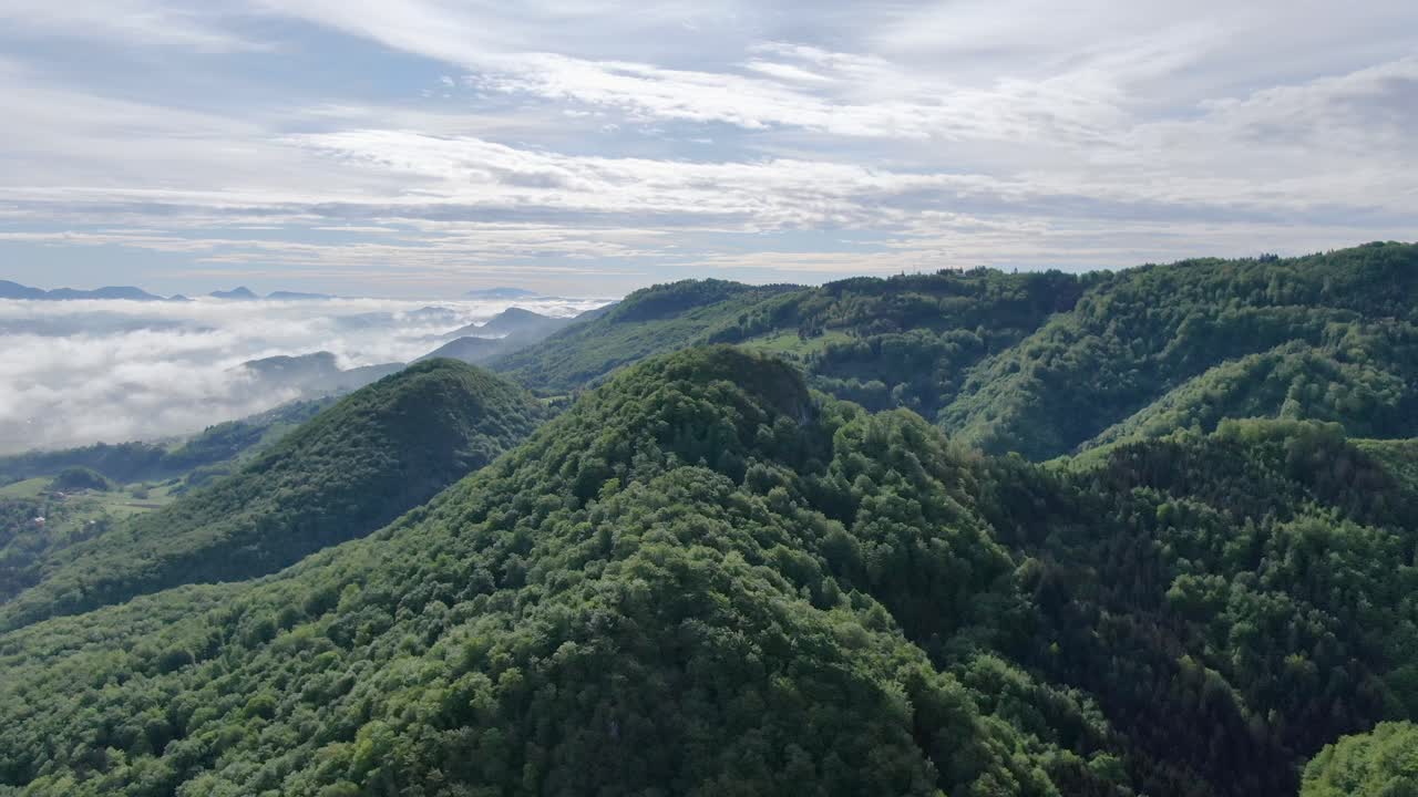 Lush dense mountains in Kocevje Slovenia aerial