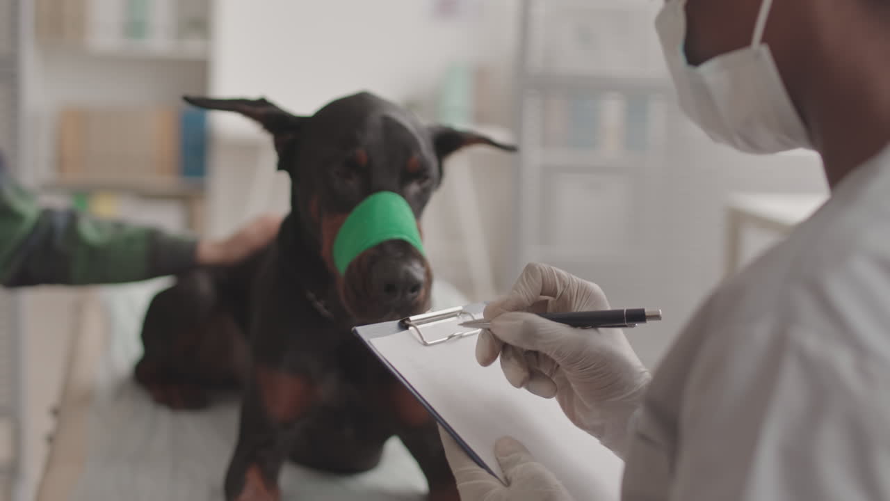 Unrecognizable Veterinarian Taking Notes
