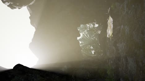 vertical shot of tropical cave at sunset