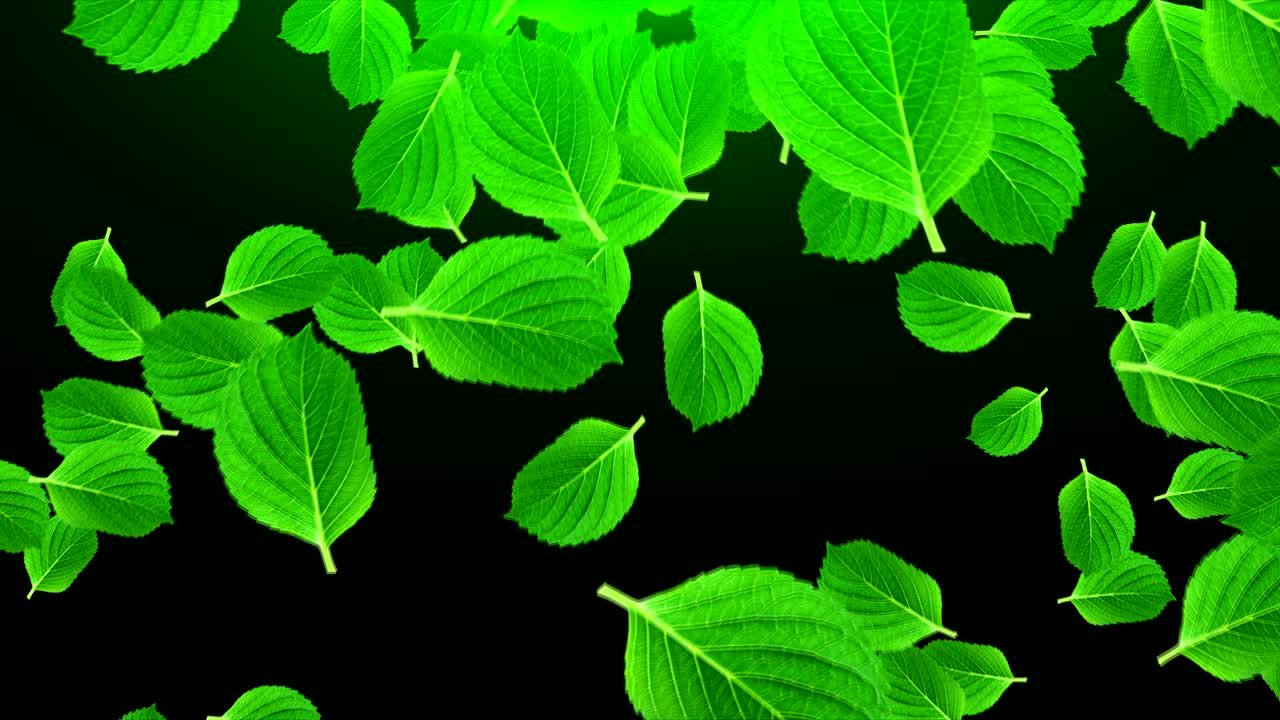 muchas hojas verdes brillantes en el espacio, fondo abstracto generado por computadora, renderizado en 3d