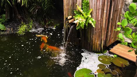 koi fish pond with bamboo waterfall feature
