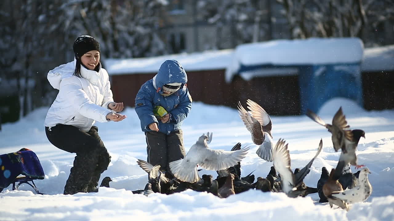 Mother and son playing witn pigeons. Mother with little son having fun playing with pigeons in winter