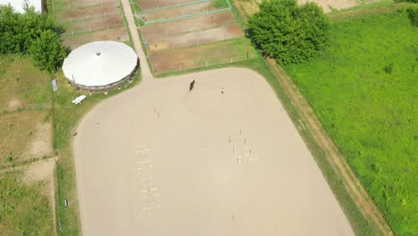 view from above, aerial video shooting, training sand field, playground, riders, jockeys ride horses, perform various exercises with horses, next to barriers