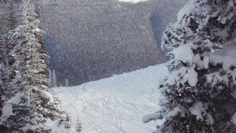 Animation-of-snow-falling-over-winter-countryside-scenery