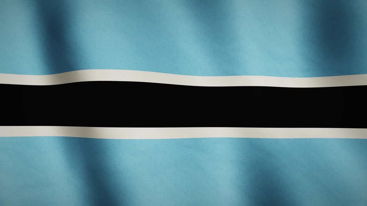 보츠와나 발 배경은 전체 화면 배너를 흔들고 - 원활한 비디오 애니메이션 루프