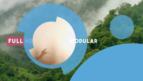 modular structure and fast render video presentation