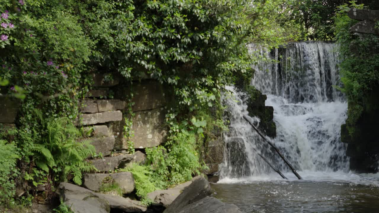 las cascadas del bosque se revelan lateralmente con el agua fluyendo en cámara lenta.