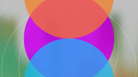 animation of red dots over blue, pink and yellow circles