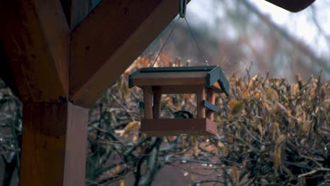 Zeitlupenansicht-Eines-Vogels,-Der-Sich-An-Einem-Vogelhäuschen-Ernährt,-Das-Vom-Dach-Eines-Hauses-Hängt