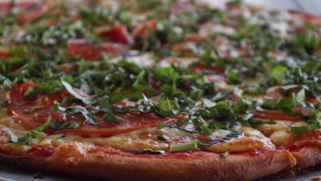 pizza de margarita recién horneada con salsa de tomate, mozzarella y albahaca fresca